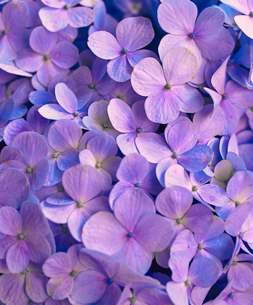 hisu-lee-V4Pn7QeYdPQ-unsplash