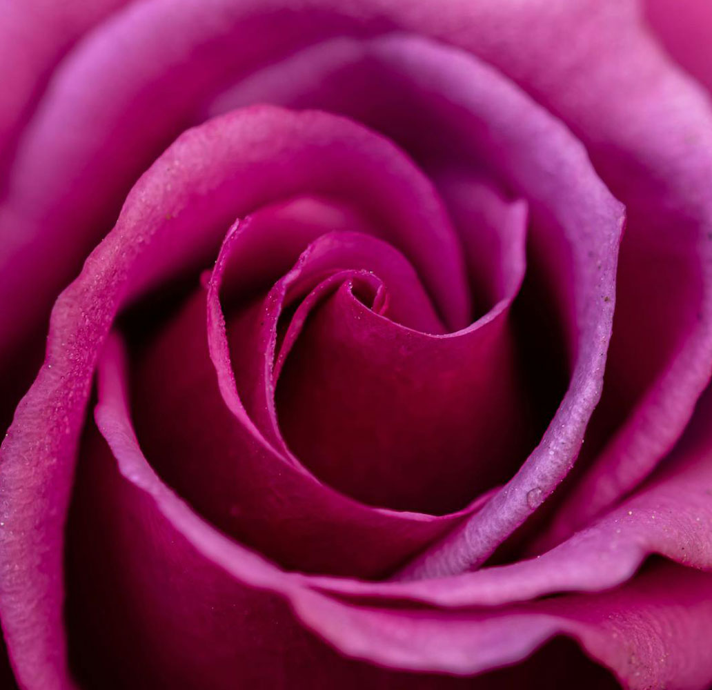 pexels-manish-sharma-1900698-6603242