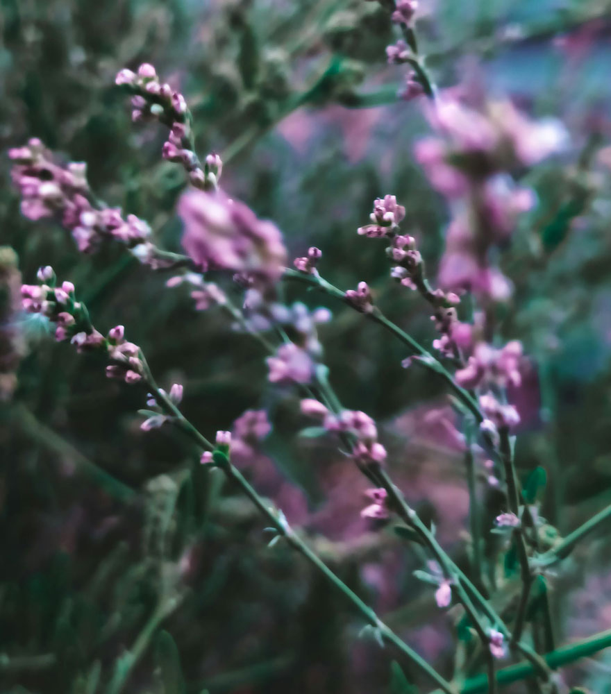 pexels-shokou-194759391-12756838